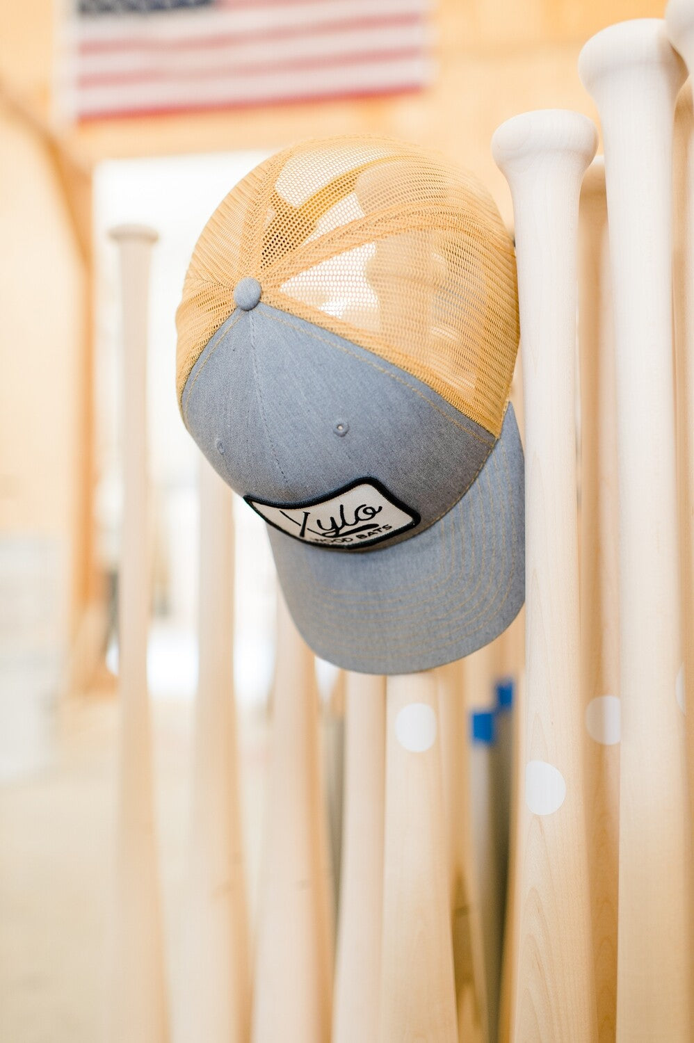 Xylo Snapback Gray/Gold Mesh Hat